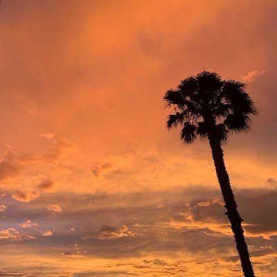 tech2020gal's profile picture. 