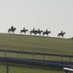 Horse racing racecards, history and course visits (@arkle1964) Twitter profile photo Horse racing racecards, history and course visits (@arkle1964) Twitter profile photo