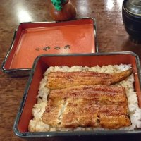 🌾米が主食ちゃん🌾 (@komegashushoku) 's Twitter Profile Photo 🌾米が主食ちゃん🌾 (@komegashushoku) 's Twitter Profile Photo