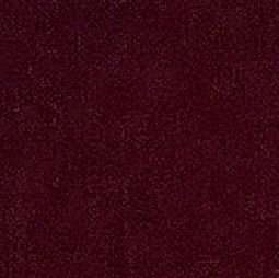 SalomonDaz3's profile picture. 