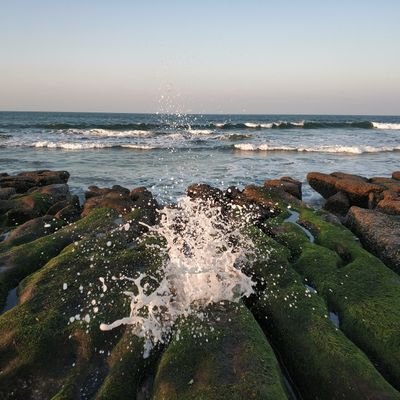 Hahawario3918's profile picture. 