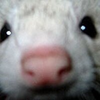 づさん (@du416) Twitter profile photo