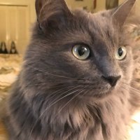 Donna (@donnacrumpler1) 's Twitter Profile