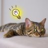 smartmacroVBA's profile picture. エクセルやVBAを中心として各種ツールを作っております♪帳票の作成から、簡単な自動化ツール、メールの自動送信(outlook使用)等々、業務を楽にするお手伝いができたらと思います✨