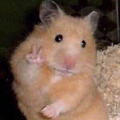 curhatdikitbole's profile picture. 