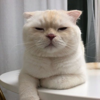 I just want to be alone on Twitter. Please don’t disturb my peace here