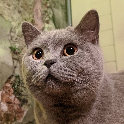 @fmbotDiscord
Also on here: https://t.co/rqNrHzohtc