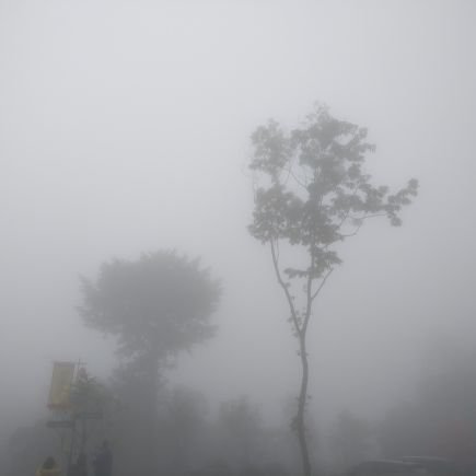 twkds1021's profile picture. 街拍 | 偏好素人 | 投稿互推 |