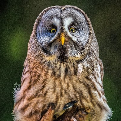 Wisdom38232373's profile picture. Retired, still working, married, own home, dog, cat, read and many hobbies.  No television.