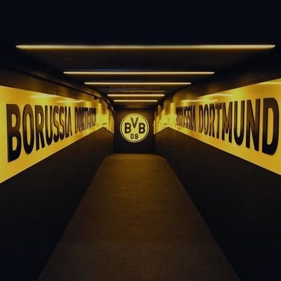 🖤💛 Borussia Dortmund 💛🖤