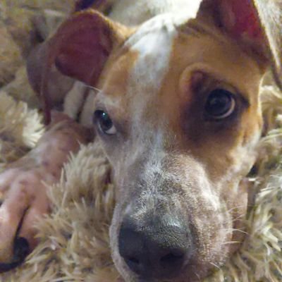 Wndrwllrs's profile picture. my account has been hacked. working on getting it back. I'm still here. shame the other user here.