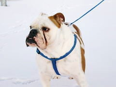 vzz00577's profile picture. 石巻市在住。医師（かなりマニアックな科）。幼少時に河童に遭って以来、妖怪好き。加えて怪獣好き。幽霊は見過ぎたので嫌い。映画、美術、文学、音楽が生きる糧。東日本大震災後からツイートを始めました。