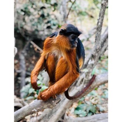 LaminJa59249195's profile picture. Gambia 🇬🇲