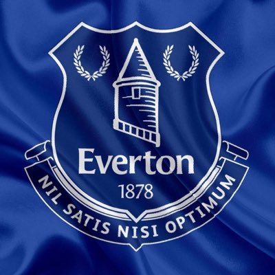 💙 Everton Posters & Prints 🖼 Bespoke Personalised Digital Drawings ✍️ Hand Drawn & High Quality 👇 Website COMING SOON