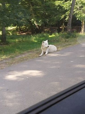 0rkrux's profile picture. hih