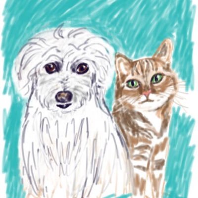 Katz75Sandy's profile picture. Fur Mom 🐶😸🐾 CCNP Plant Fanatic 🌴🌴🌴 #TheOvalPawffice #CommitmentToExcellence ☠️☠️     Dodgers ⚾️Raiders 🏈Ducks🏒