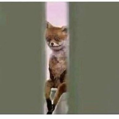 chr1st1an00's profile picture. 