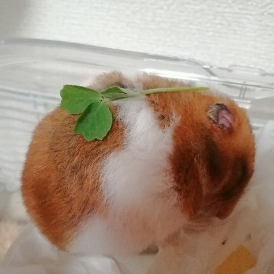 uBQMdS6sX32HBhX's profile picture. 