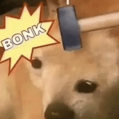 bonk_every_day's profile picture. bonk