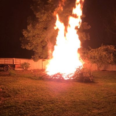 GeorgieMillar11's profile picture. Single mother. Gardener. Living an ethical life.