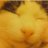 j_jomi's profile image