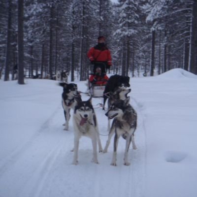 AristiAlmaRoja's profile picture. Mis pasiones: Santorini Group (Viajes), Sports Travel Colombia (Deportes), Tu Piel Roja (América de Cali).