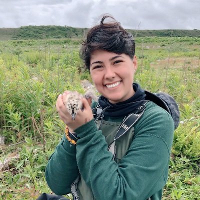 Marine predators are cool 🦭 • @CSU_Ecology Extreme Physiology Lab MS student studying pinnipeds • @SeaverLMU alumna & McNair Scholar • 🇲🇽🇺🇸