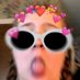 Emilee (@1dstan4l) Twitter profile photo Emilee (@1dstan4l) Twitter profile photo