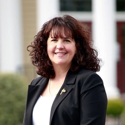 Malverne trustee, married mother of 4, & small businesswoman running for NYS Senate District 9