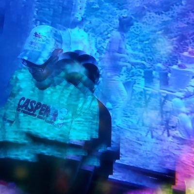 Electronic musician and video artist. Glitch art/noise music as JPEGSTRIPES, vaporwave as 식료품groceries, and lo-fi house as Null Object. Also on Twitch sometimes