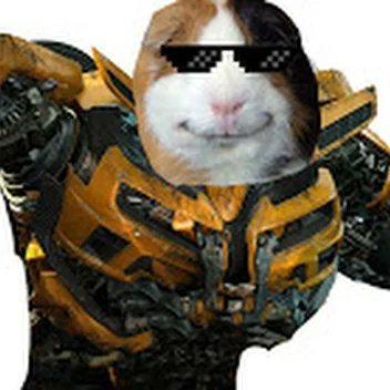 sooperrhino's profile picture. Can you tag yourself? @sooperrhino
Yo bet thats a Pog champ