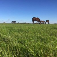 PONDEROSA PARK (@parkponderosa) 's Twitter Profile