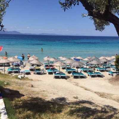 burcukobal2's profile picture. 