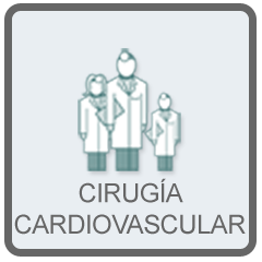 Agenda mundial de congresos de Cirugía Cardiovascular / Worldwide directory of Cardiovascular and Endovascular Surgery Congresses