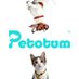 Petotum | Pet Insurance & Community App 🇲🇾 (@petotum) Twitter profile photo