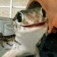 Dam (@ddmurakami) 's Twitter Profile