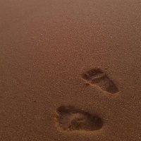 LISP_rsa (@lisp_rsa) 's Twitter Profile