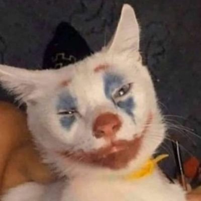 Lukeella2's profile picture. xd