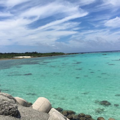 64I2's profile picture. 細美武士(ELLEGARDEN.theHIATUS.MONOEYES) locofrank、ボーンズ、DA、レイブンズ、テナー、NCIS、バンプ、YUKI(JAM) COSMICBOX🐰♛︎B'zPARTY♛︎ ∞🧡とスノ🧡⛄️💛他にもいろいろ幅広くハコ通い