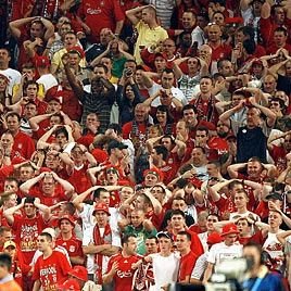 TwoShittingCats's profile picture. 