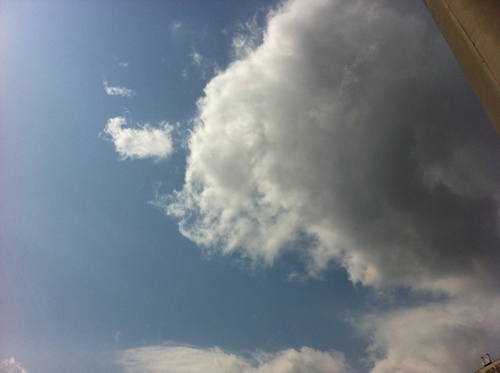 rudemeans's profile picture. 