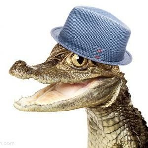 YashKirtiSinha1's profile picture. me: welcomes you to my profile with wierd hand gestures! 
((kyuki Saas Bhi Kabhi Bahu thi theme song starts to play)). YouTube Channel ⬇️