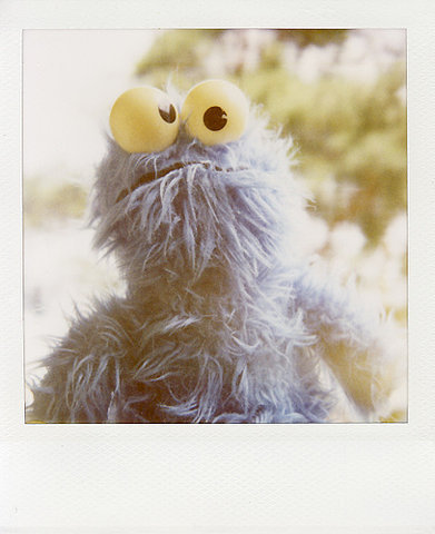 DevoroGalletas's profile picture. Me como todas las galletas que veo, oreo, maría, chips a'hoy, caseras, bretonas, de lacasitos, con chocolate y sin chocolate, danesas, de navidad..