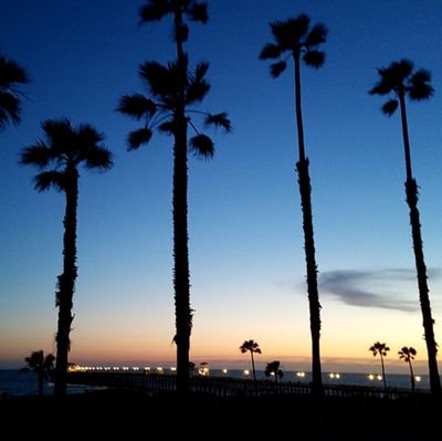 sho35bs510's profile picture. 