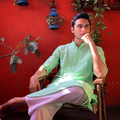 Ritwik Bhowmik Profile