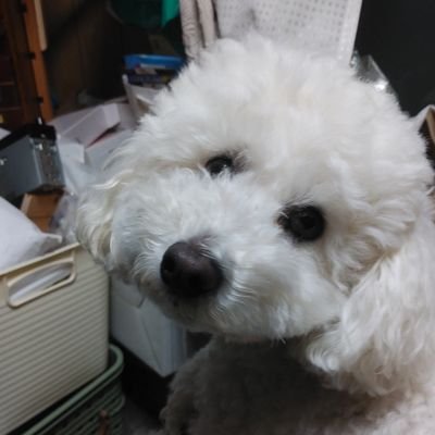 StoTakayuki's profile picture. 