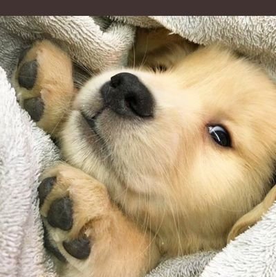 jithunive27's profile picture. 