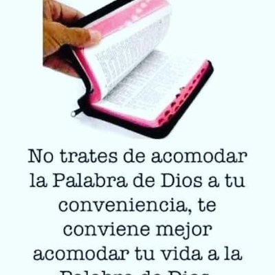 isidroleonelrh's profile picture. 