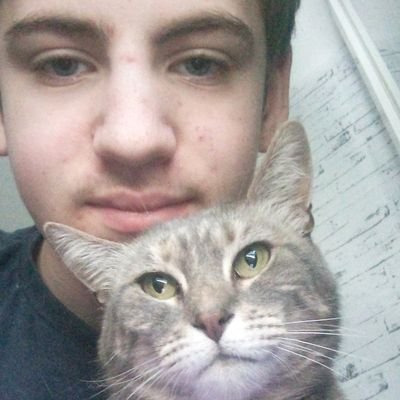 Raphael95893873's profile picture. j'aime toule monde