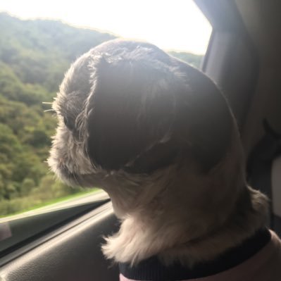 dy7805's profile picture. 어쩌다 보니 육아 이야기만 합니다.